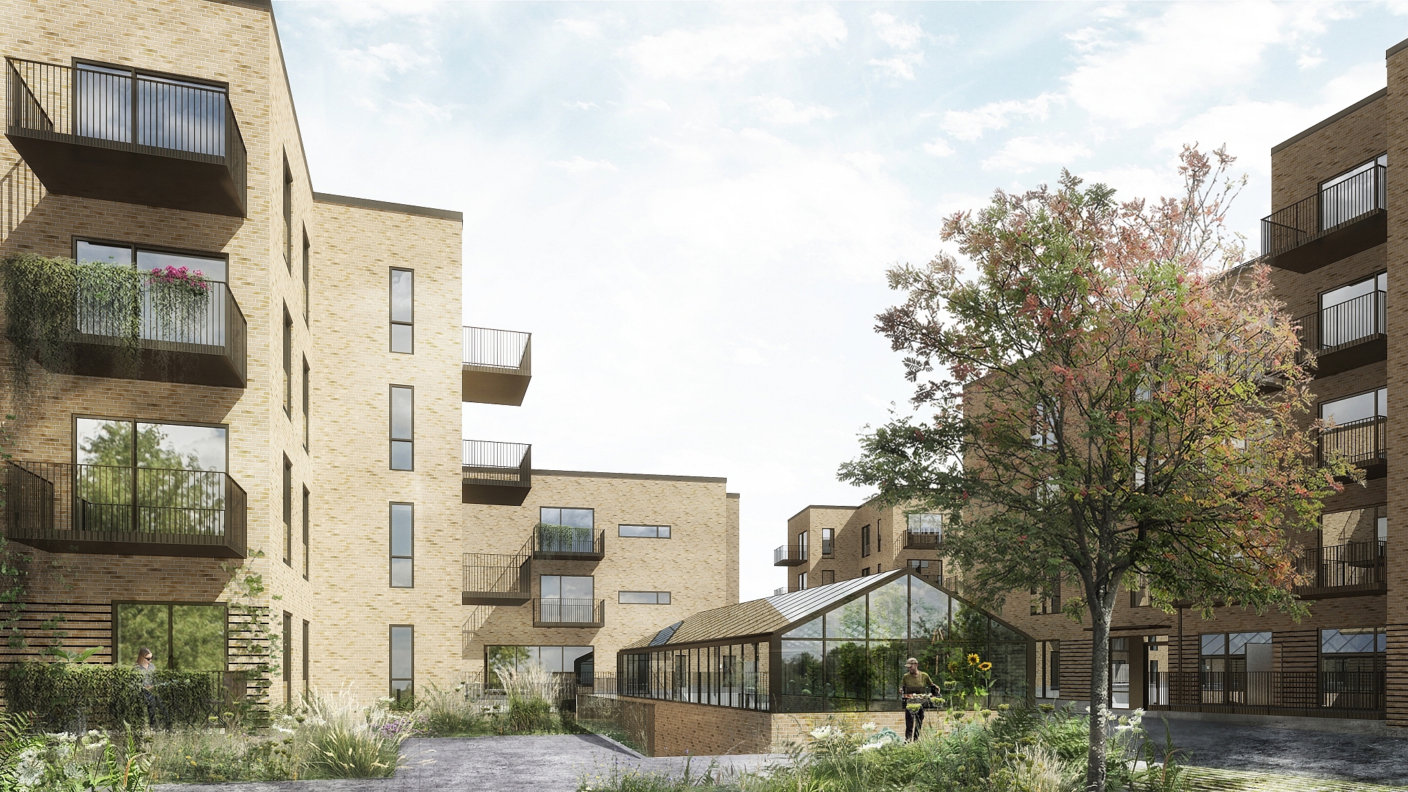 Fælles drivhus i Granskove